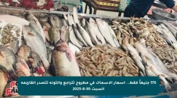 170 جنيهاً فقط.. أسعار الأسماك في مطروح تتراجع والتونة تتصدر القائمة السبت 30-8-2025